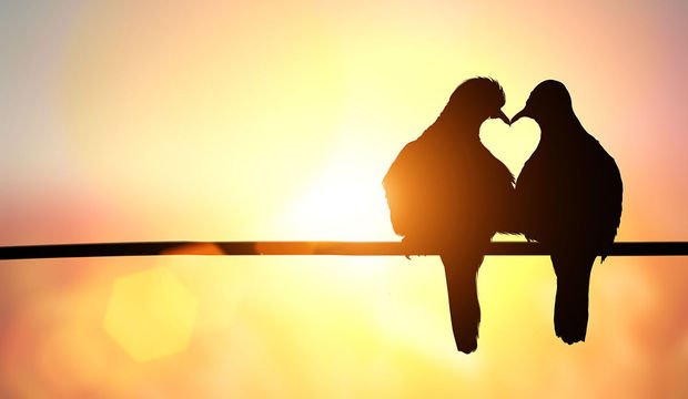 Paulo Coelho’dan sevginin yansımaları