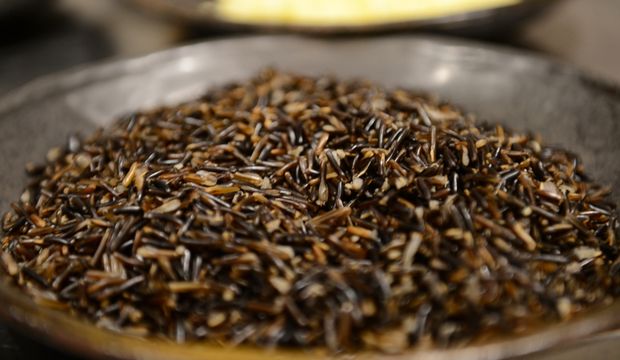 Yabani pirinç nedir?