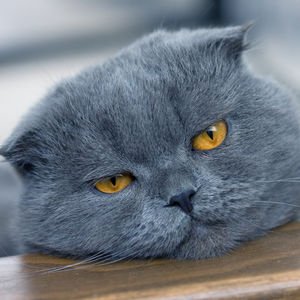 Yol yorgunluğunu önlemenin ipuçları