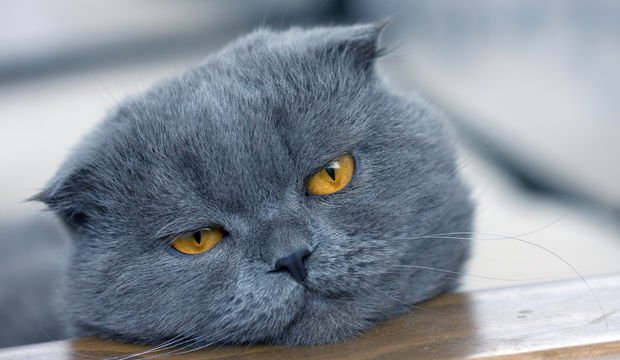 Yol yorgunluğunu önlemenin yolları