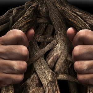 Ölümün varlığı adildir, sebepleri değil...