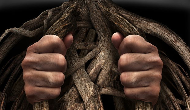 Ölümün varlığı adildir, sebepleri değil...