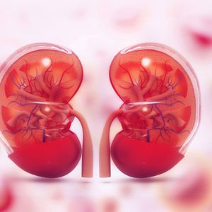 Sağlıklı böbrekler için...