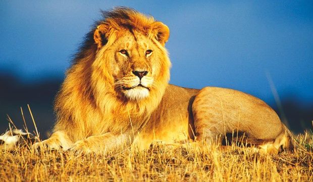 22 Temmuz 2016 günlük burç yorumları