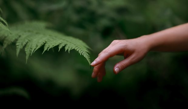1035958_620x360.jpg