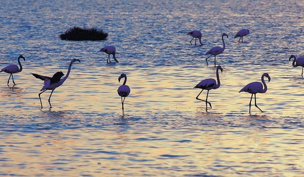 İzmir'in gezilecek yerleri