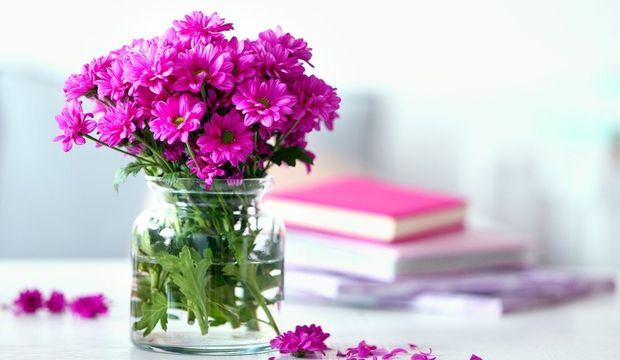 Vazo çiçeklerinin bakımı nasıl yapılır?