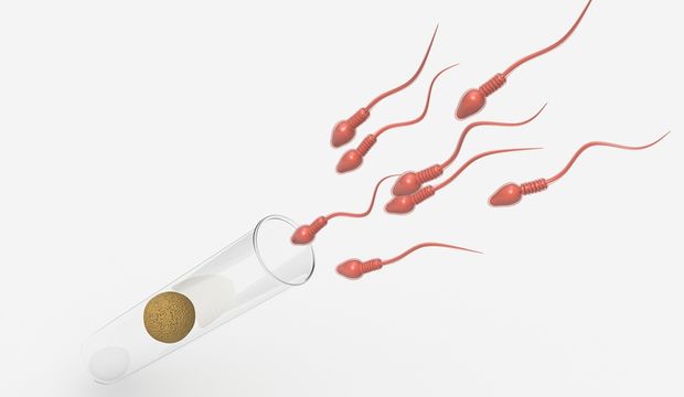 Sperm Bankası Nedir? Nasıl Çalışır? Dünyada Kaç Tane Sperm Bankası Bulunuyor? 2 Sperm bankası nedir?