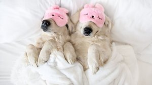 Uyku pozisyonunuz ilişkinize dair ne söylüyor?