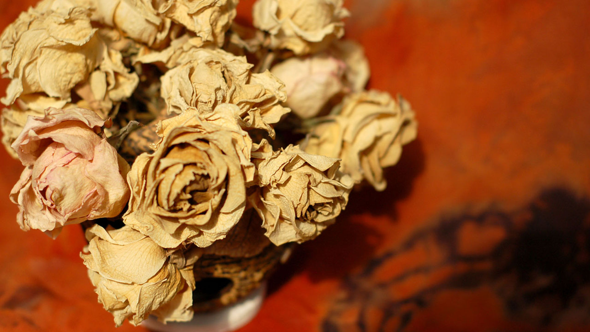 Почему вянут розы в вазе. Засушенный букет роз. Засушенные цветы. Высохший букет. Засохшие цветы.