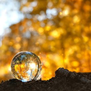 Sonbahar Ekinoksu'nda yapabileceğiniz 5 şey