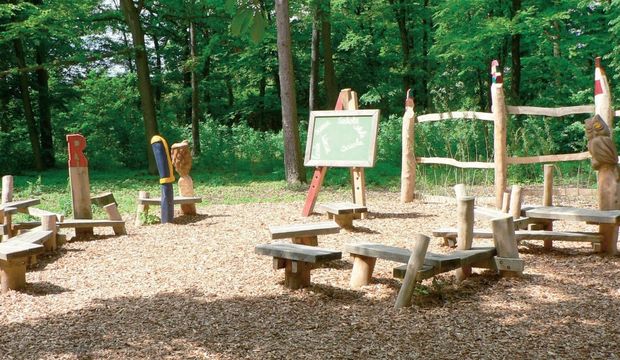 Bambaşka bir eğitim sistemi: Orman okulları