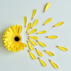  Boşanma sonrası tekrar aşık olmak