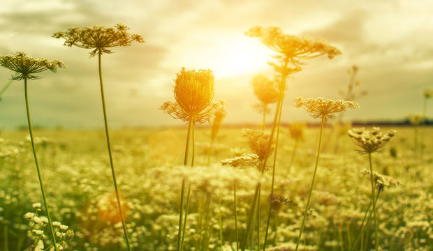 Ruhsal çöküntü nedenleri