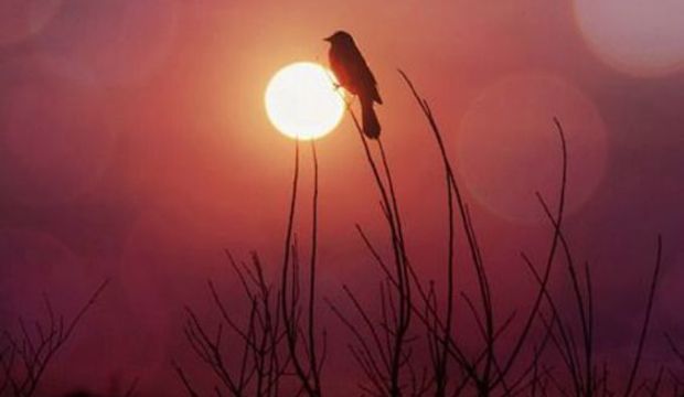 Hayal kırıklığı ile mücadele yöntemleri