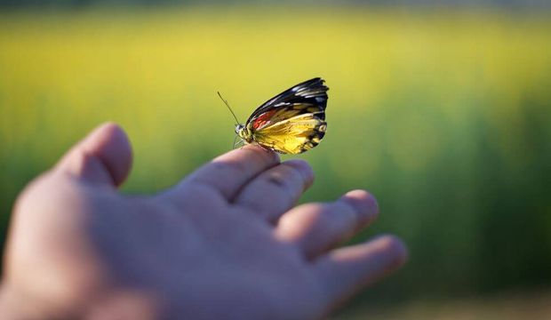 Hayatı sadeleştirmek için...