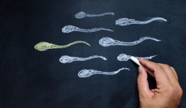 Sperm sayısı nasıl arttırılır?