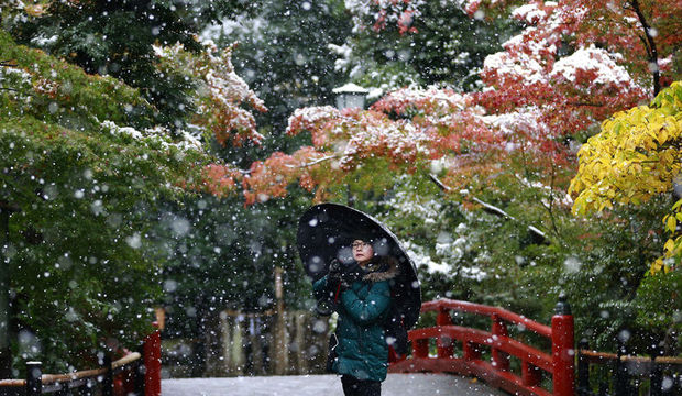 Tokyo'ya 54 yıl sonra ilk kez kar yağdı