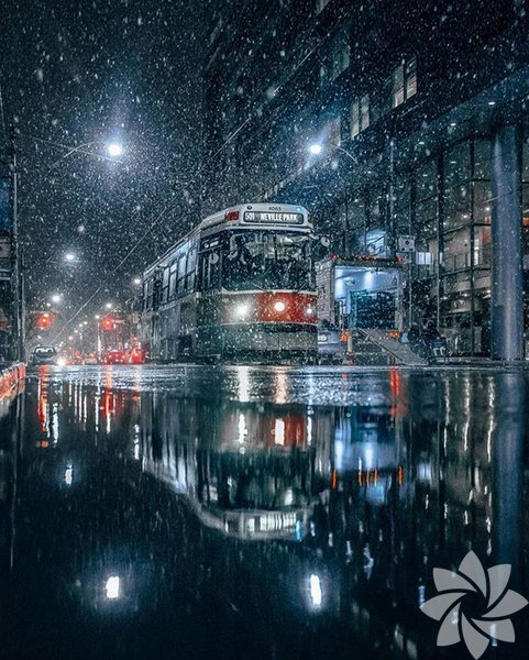 Toronto - Ontario