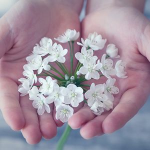 ...olunca anladım mı?