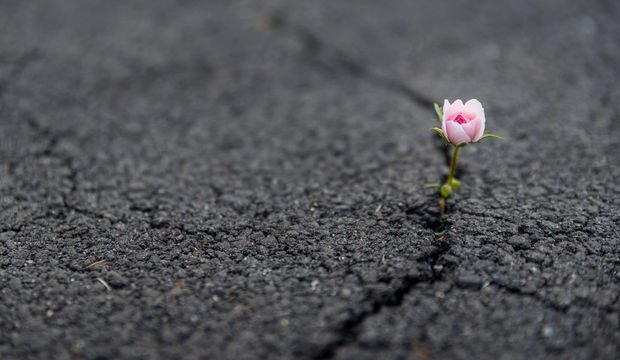 Her şeyden yorulduğunuzda bunu okuyun
