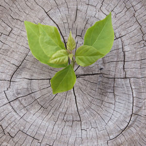 İnsanız, huzur istiyoruz...