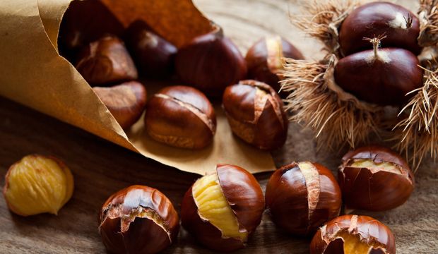 Kestanenin yararları nelerdir?