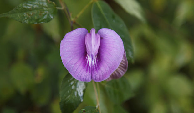 Vajina hakkında bilinmesi gereken 7 şey