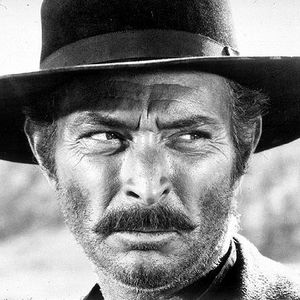 Şeytan tüyü olan hınzırın 10 özelliği