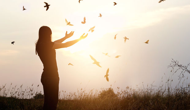 Dibe vurmadan özgür olamazsın