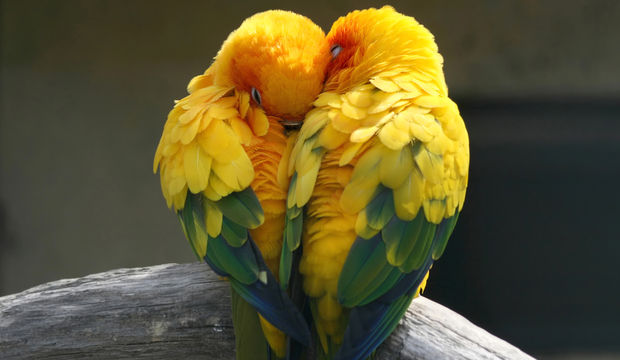 Dengeli ve uzun soluklu bir ilişki için...