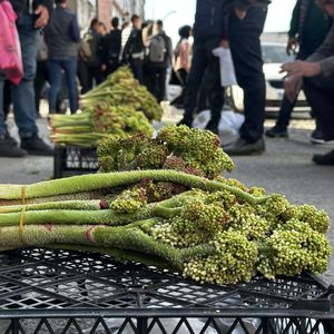 Yayla muzunun faydaları 