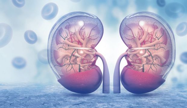 Böbrek sağlığına zarar veren alışkanlıklar nelerdir?