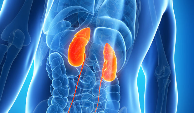 Kronik böbrek hastalığına dikkat