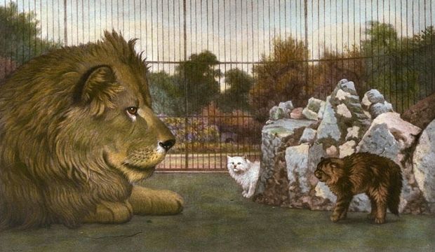 Paulo Coelho'dan hikayeler...