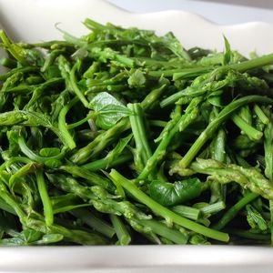  Ege yöresine ait otlar