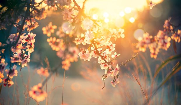 Bahar yorgunluğuna ne iyi gelir?