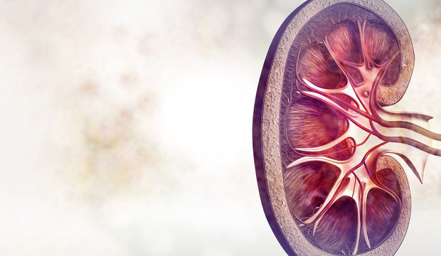 Böbrek taşını hareket ederek kırın