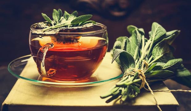 “Adaçayı” soğuk algınlığında da şifa veriyor