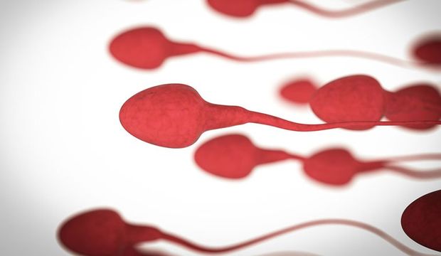 Sperm sayınızı cep telefonunuzla ölçebilirsiniz