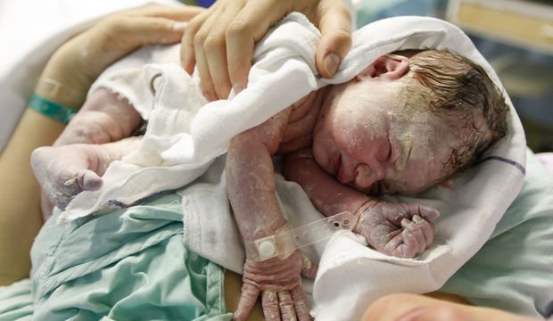 Verniks nedir?
