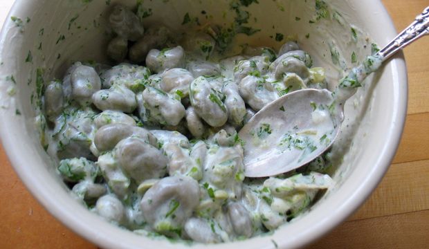 Yoğurtlu barbunya salatası