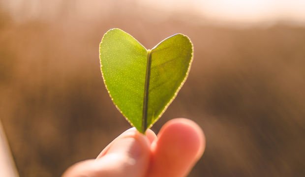 Kalp sağlığı için ne yapmalıyız?