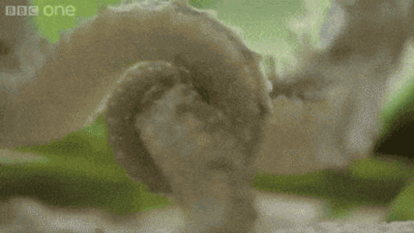 1049403_98e123b083e4e1fe1ca01b7273af5a57.gif