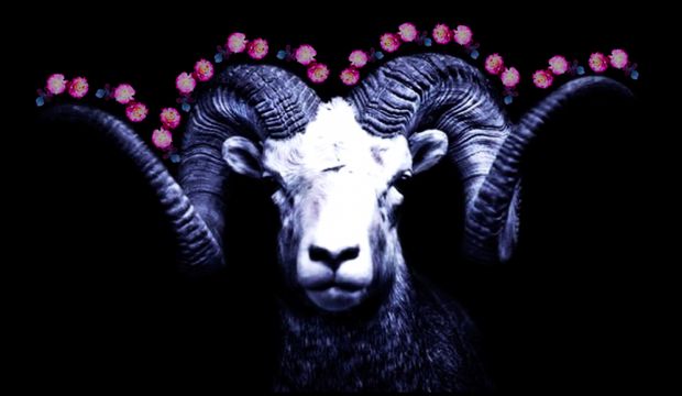 24 Nisan 2017 günlük burç yorumları