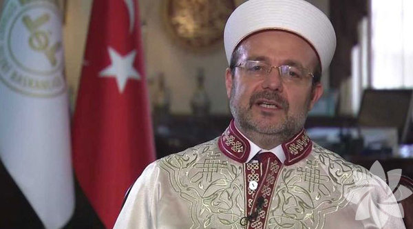 Tuylerinizi Aldirmamaniz Icin 7 Sebep Yasam