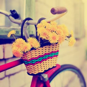 Bisiklet ve özgürlük rehberi 