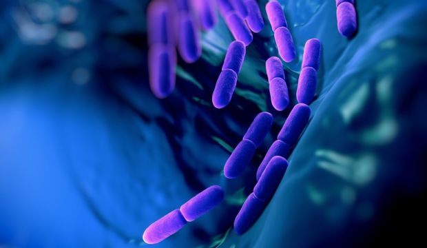 Bakterilerimizi sevmek için sebeplerimiz var