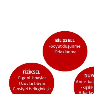 Ergenler çocuğun büyüğü, yetişkinin küçüğü değiller