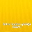 Koca adamsın ne yapacaksın 1+1 daireyi